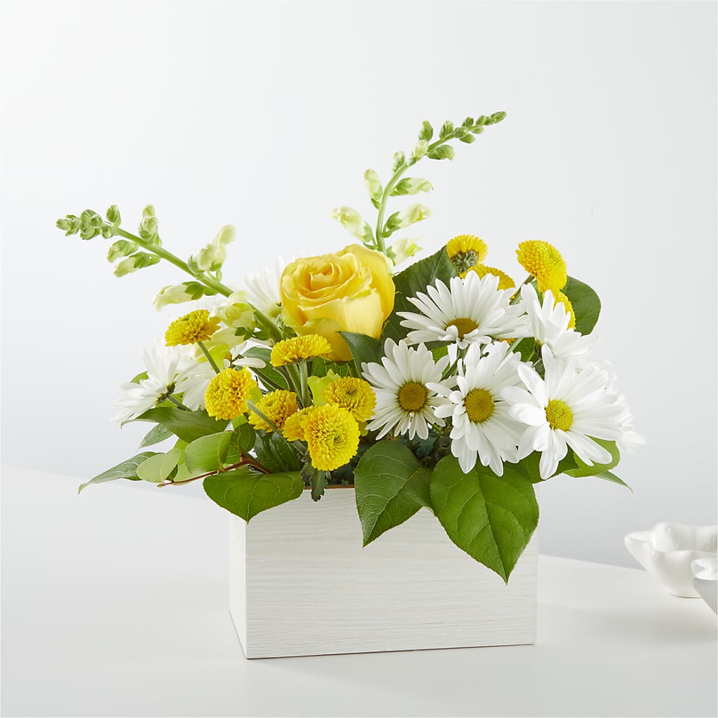 Sun Salutation Box Bouquet – Hb Floral Studio, Rockford IL