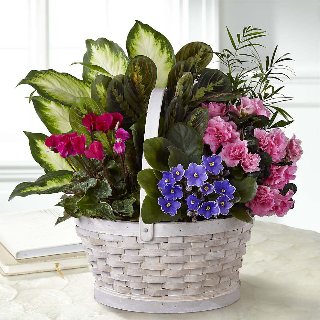 Peaceful Garden Planter – Hb Floral Studio, Rockford IL