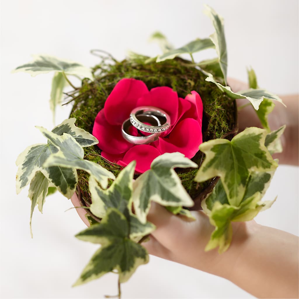 Lila Rose Ring Nest – Hb Floral Studio, Rockford IL