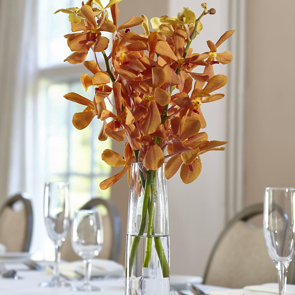 Orange Mokara Bud Vase – Hb Floral Studio, Rockford IL