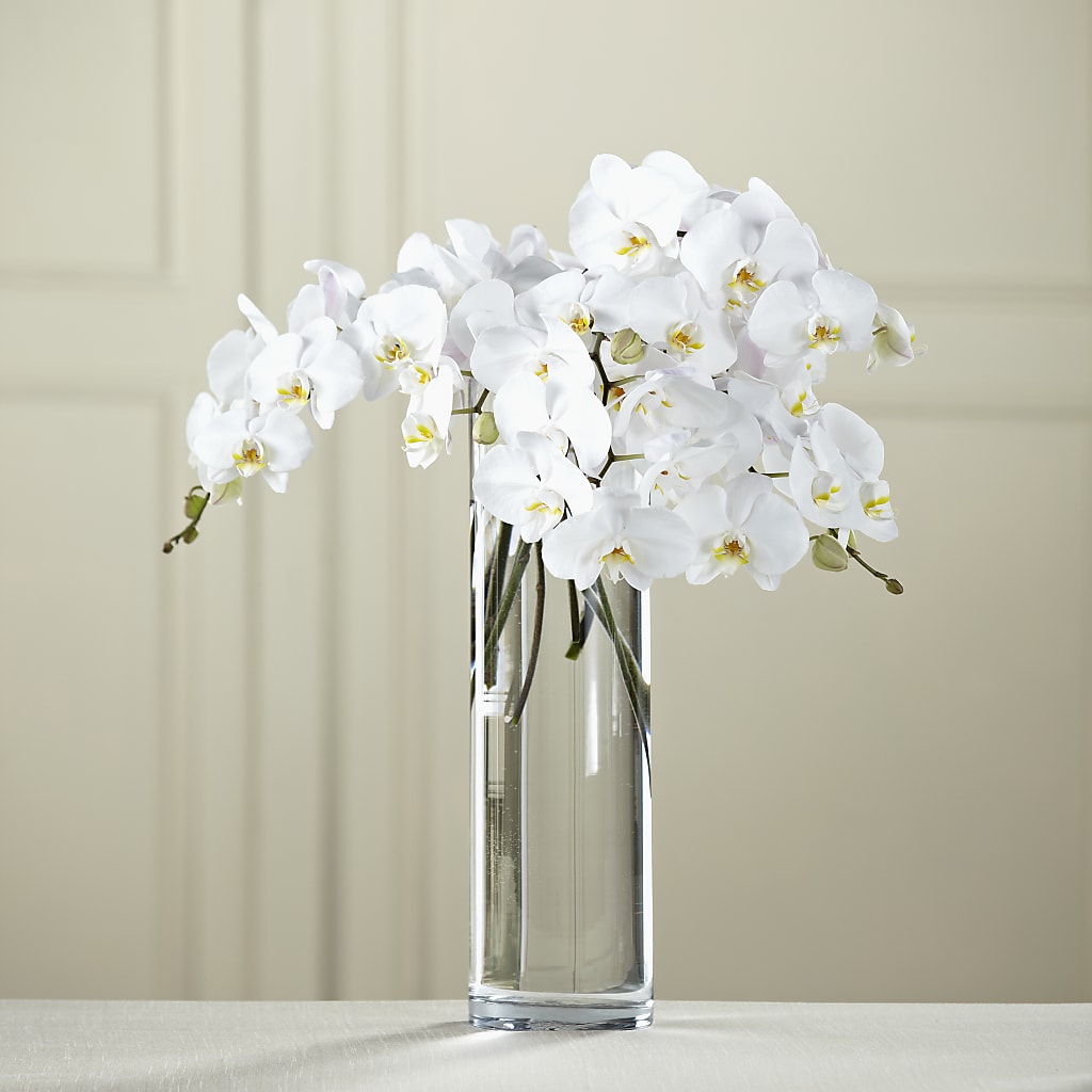White Phalaenopsis Bouquet – Hb Floral Studio, Rockford IL