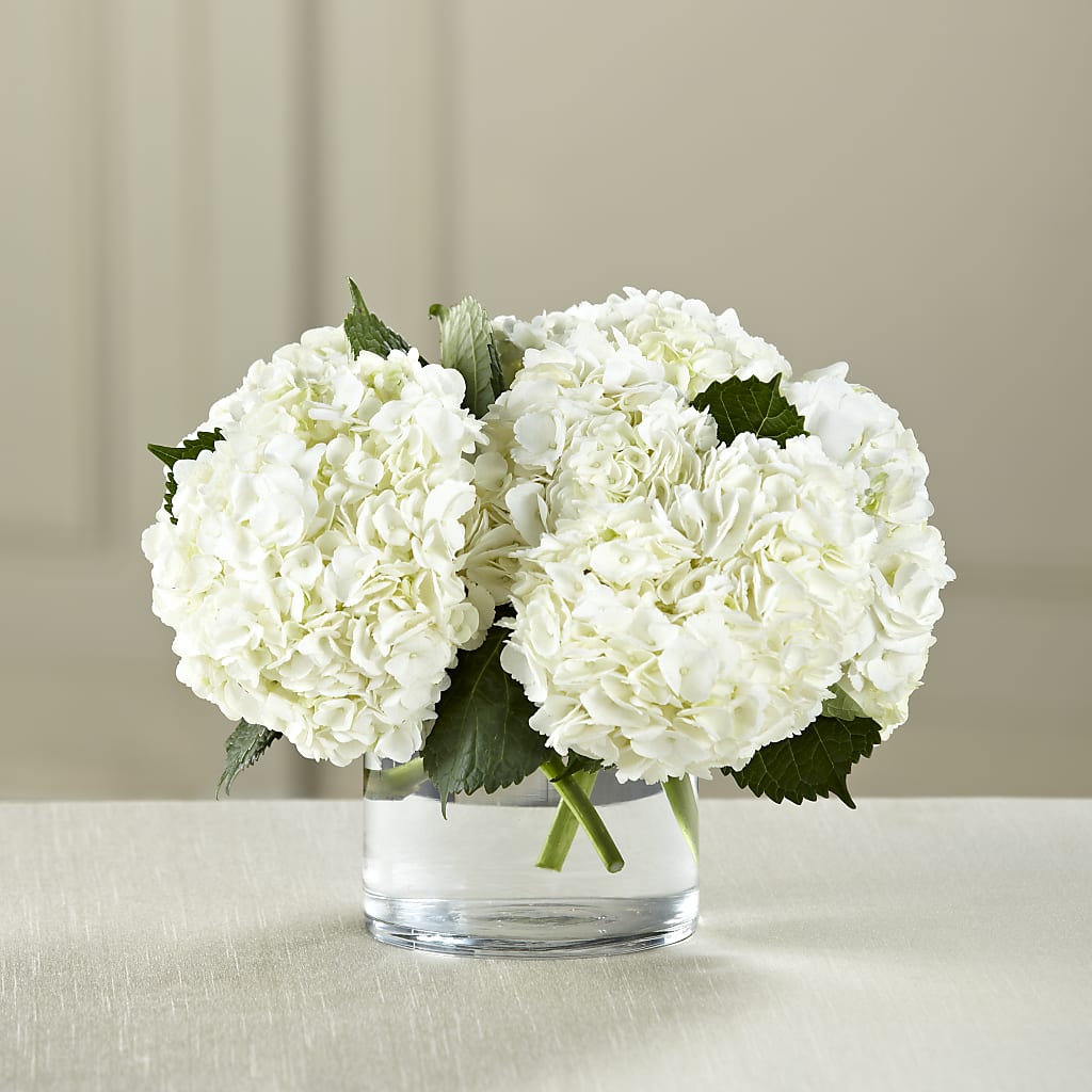 White Hydrangea Bouquet – Hb Floral Studio, Rockford IL