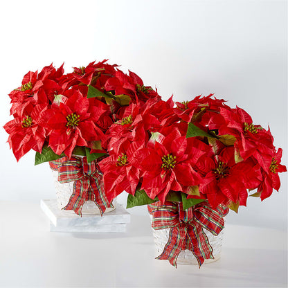 Happiest Holidays Poinsettia Bundle –  Hb Floral Studio, Rockford IL