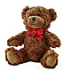 Adorable Plush Bear –  Hb Floral Studio, Rockford IL
