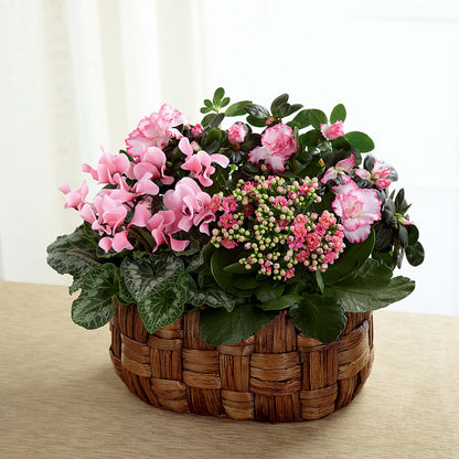 Pink Assortment –  Hb Floral Studio, Rockford IL