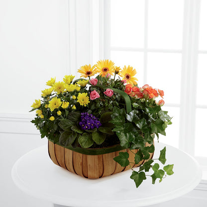 Gentle Blossoms Basket –  Hb Floral Studio, Rockford IL
