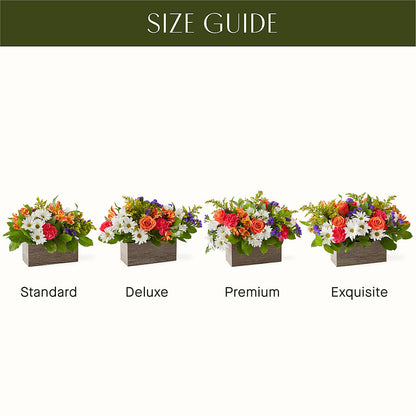 Oopsie Daisy Box Bouquet –  Hb Floral Studio, Rockford IL