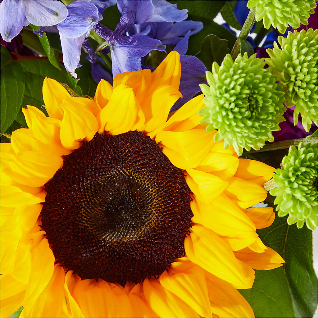 Catching Rays Bouquet –  Hb Floral Studio, Rockford IL