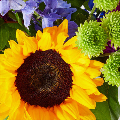 Catching Rays Bouquet –  Hb Floral Studio, Rockford IL