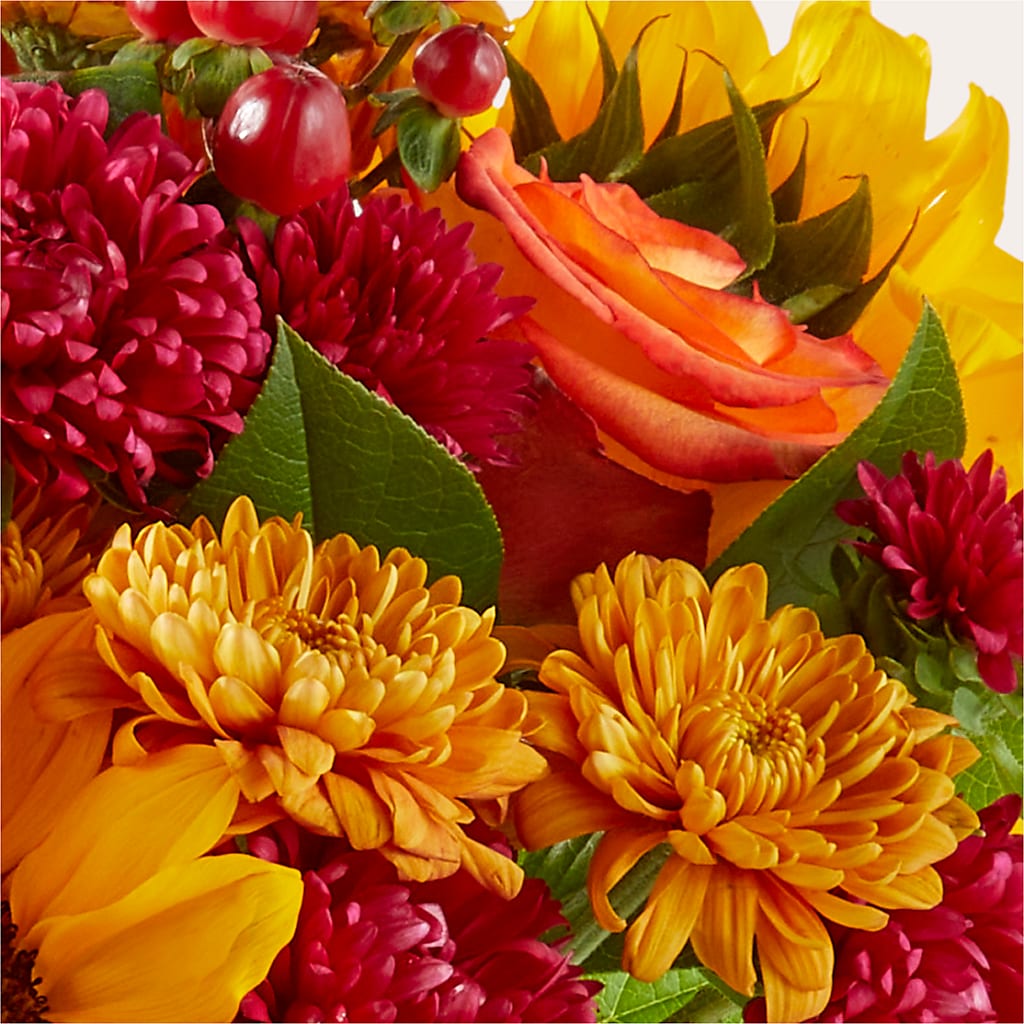 Sweater Season - A Florist Original –  Hb Floral Studio, Rockford IL