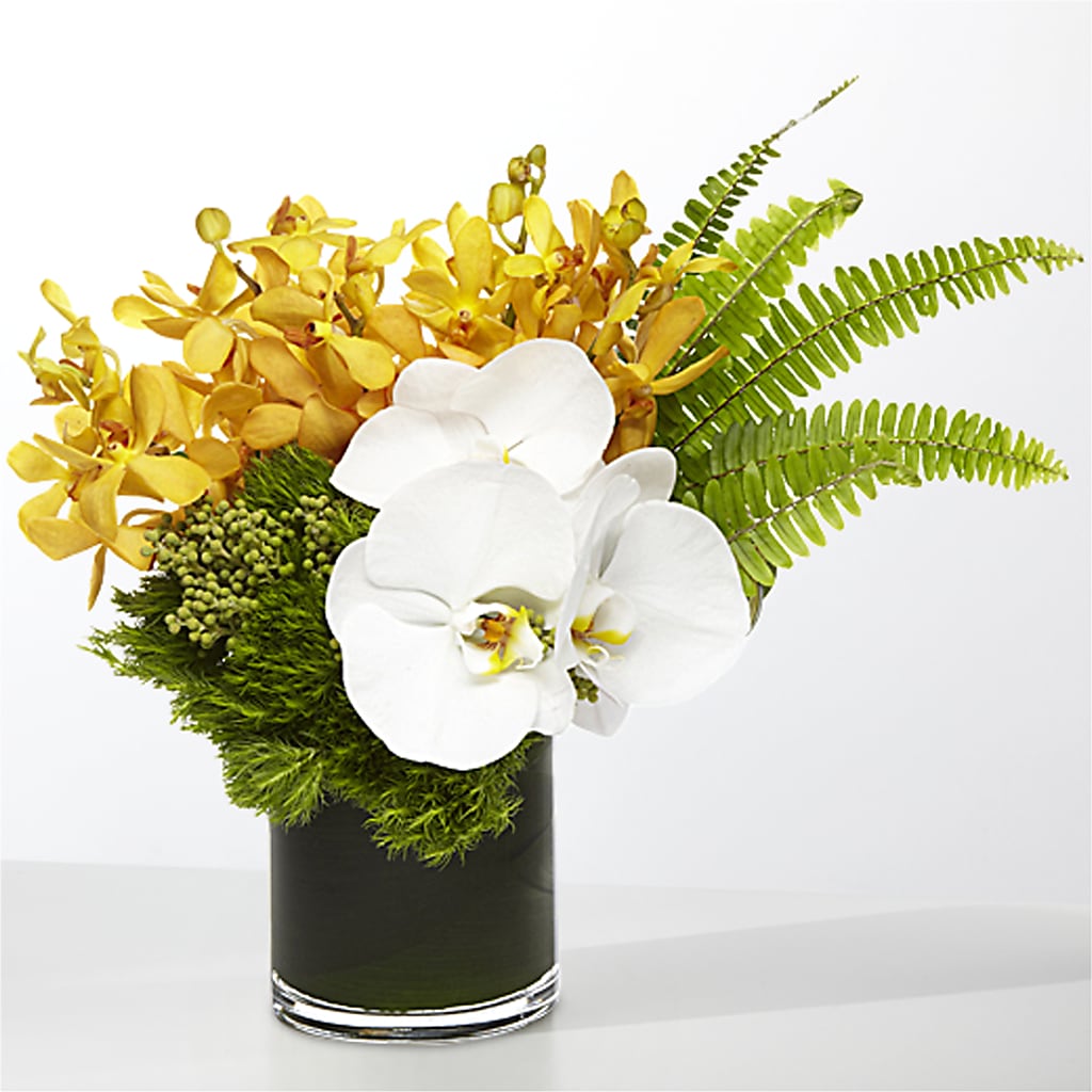 The Tropics –  Hb Floral Studio, Rockford IL