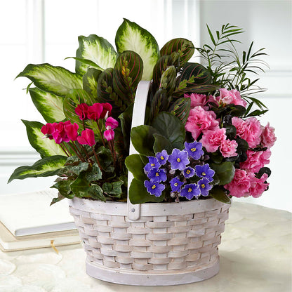 Peaceful Garden Planter –  Hb Floral Studio, Rockford IL