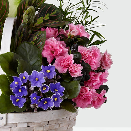 Peaceful Garden Planter –  Hb Floral Studio, Rockford IL