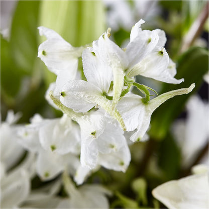 Classic Ivory – A Florist Original –  Hb Floral Studio, Rockford IL