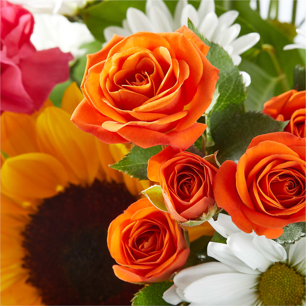Sun-drenched Blooms Bouquet –  Hb Floral Studio, Rockford IL