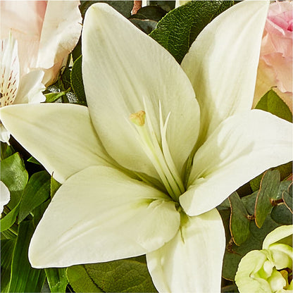 Ballet Slippers Bouquet –  Hb Floral Studio, Rockford IL