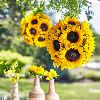 Sublime Garden Hanging Arrangement –  Hb Floral Studio, Rockford IL