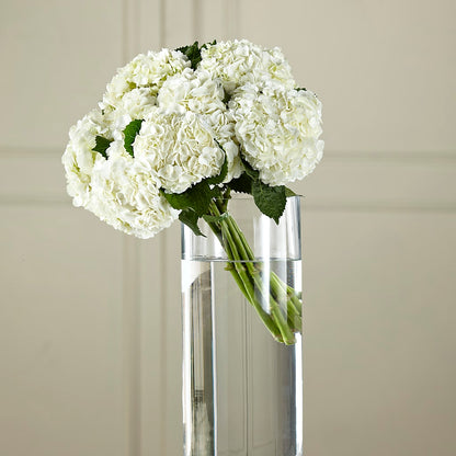 White Hydrangea Hand-Tied Bouquet –  Hb Floral Studio, Rockford IL