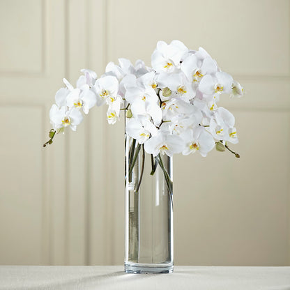 White Phalaenopsis Bouquet –  Hb Floral Studio, Rockford IL